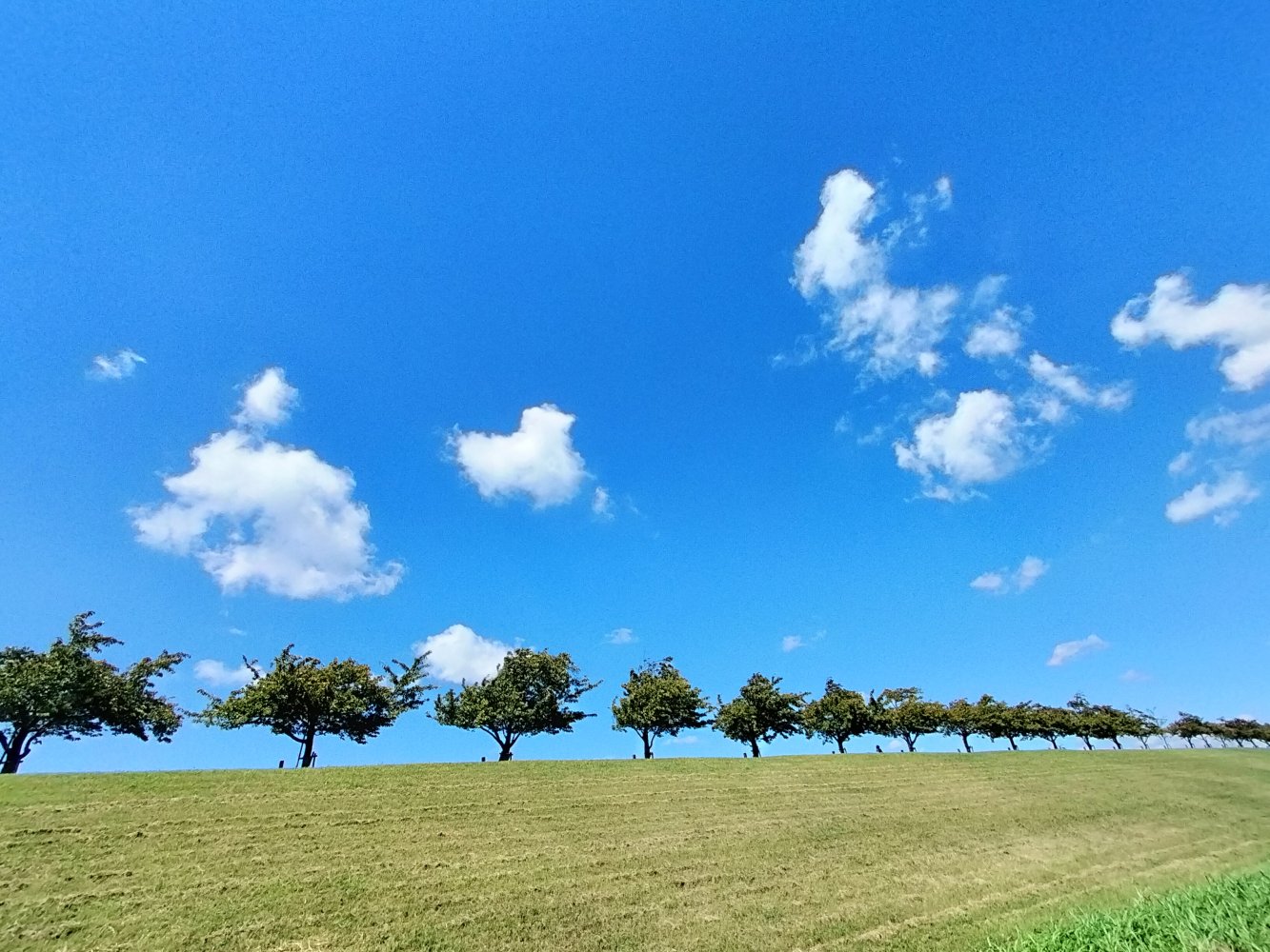 メインビジュアル1